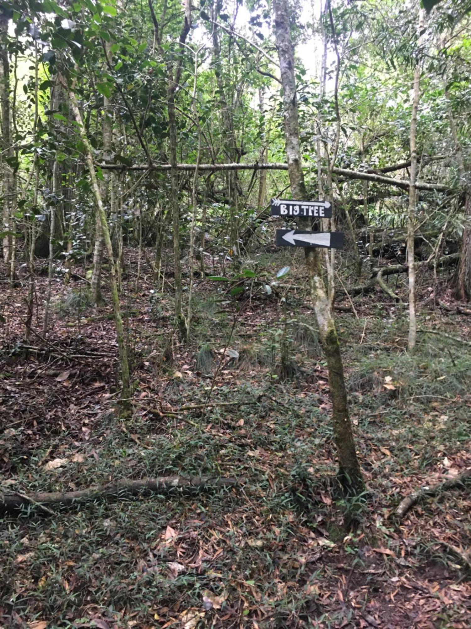 Pura Vida Forest Cabin Witelsbos Exterior photo